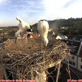 07_10-nest.jpg