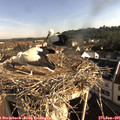 08_30-nest.jpg