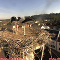 08_40-nest.jpg