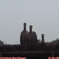 09_30-mast.jpg