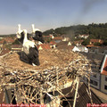 10_40-nest.jpg
