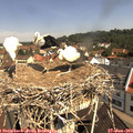 10_45-nest.jpg