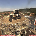 11_05-nest.jpg