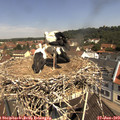 11_10-nest.jpg