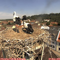 11_15-nest.jpg