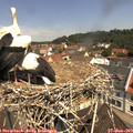 11_25-nest.jpg
