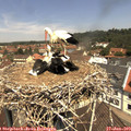 11_55-nest.jpg
