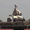 13_05-mast.jpg