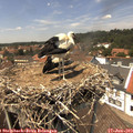 13_55-nest.jpg