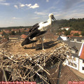 14_10-nest.jpg