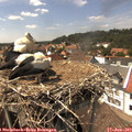 14_40-nest.jpg