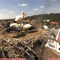14_55-nest.jpg