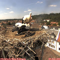 15_10-nest.jpg