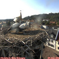 18_10-nest.jpg