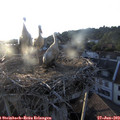 20_05-nest.jpg