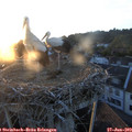 20_50-nest.jpg