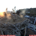 21_00-nest.jpg