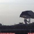 06_05-mast.jpg