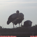 07_00-mast.jpg