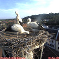 07_10-nest.jpg