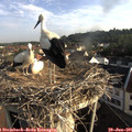 07_45-nest.jpg