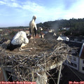 08_00-nest.jpg