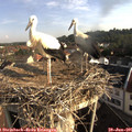 08_15-nest.jpg
