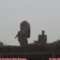 08_45-mast.jpg