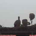 09_00-mast.jpg