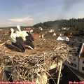 09_30-nest.jpg