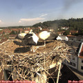 09_50-nest.jpg
