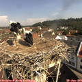 10_05-nest.jpg