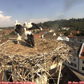 10_10-nest.jpg