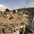10_20-nest.jpg