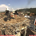 10_30-nest.jpg