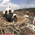 12_30-nest.jpg