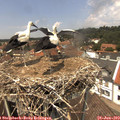 13_20-nest.jpg