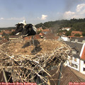 13_25-nest.jpg