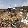 13_30-nest.jpg