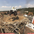 13_35-nest.jpg