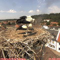 13_40-nest.jpg