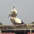 14_40-mast.jpg