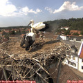 15_05-nest.jpg