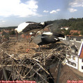 15_25-nest.jpg