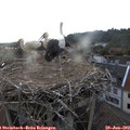 19_40-nest.jpg