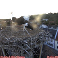 20_30-nest.jpg
