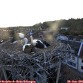 20_50-nest.jpg