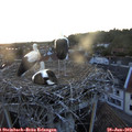 20_55-nest.jpg