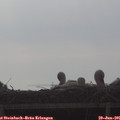 08_15-mast.jpg