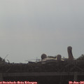 08_25-mast.jpg
